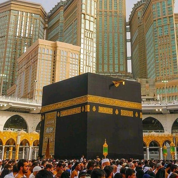 waseemarain78543
