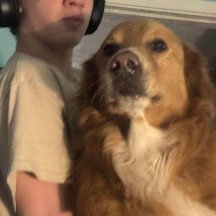 RockyDogandJazzyCat