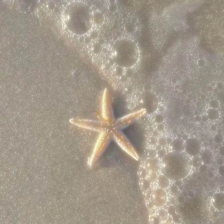 ૮꒰˶•˕•˶꒱ა