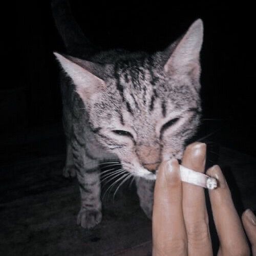 ⃟