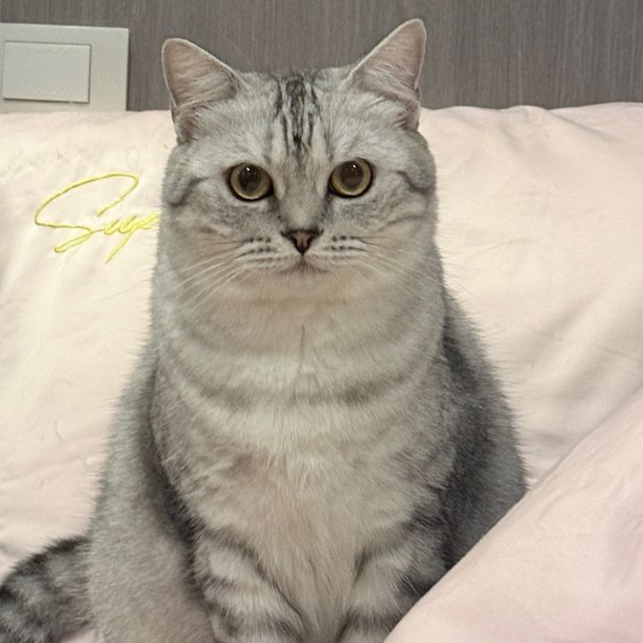 ᯅ̈