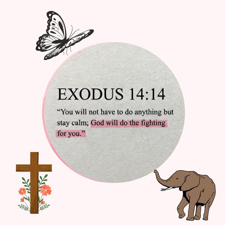 lexyinink1356