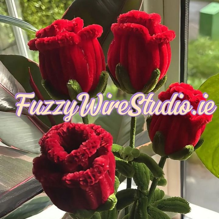 FuzzyWireStudio.ie