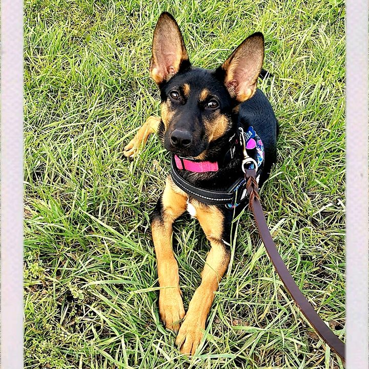 KiraTheGSD