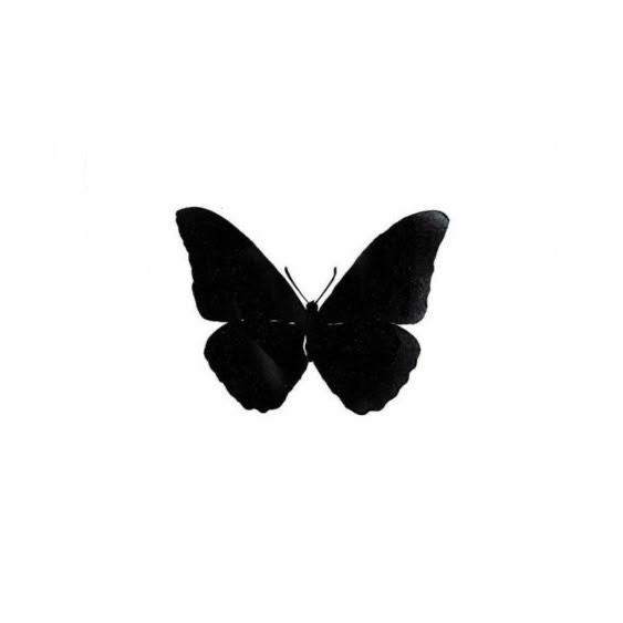 𝗺𝗶𝗮