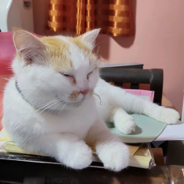 น้องมูมี่ลูกสาวแม่แนนนี่