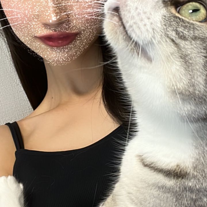 にゃんころもちこ💓