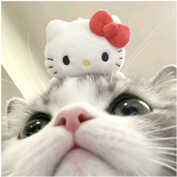 คนสวยมารีวิววิ่ววิ้ววว