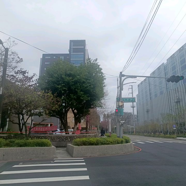Sky Love