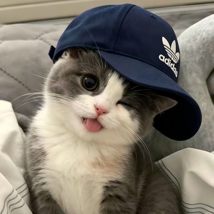 Kaelon