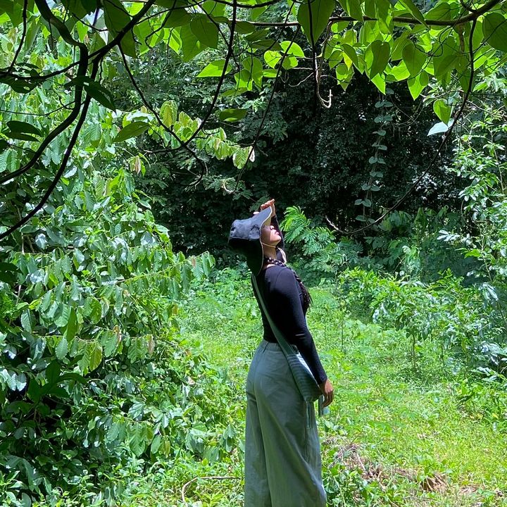 สุรี รีวิว