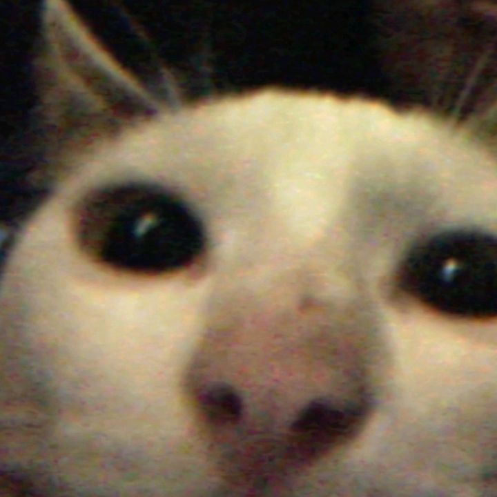 dori