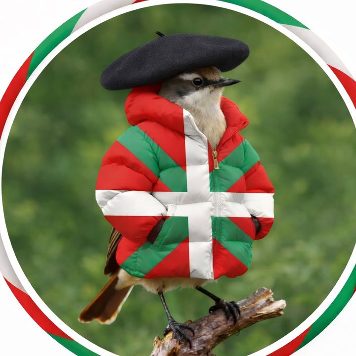 Hericles | Euskadi ⭐