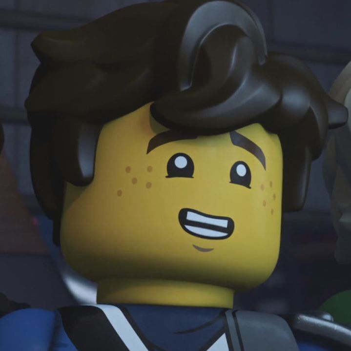 Mr. Daily Ninjago