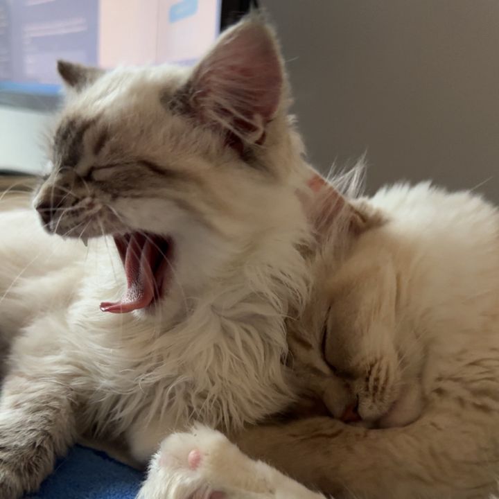 Astrid and Rune