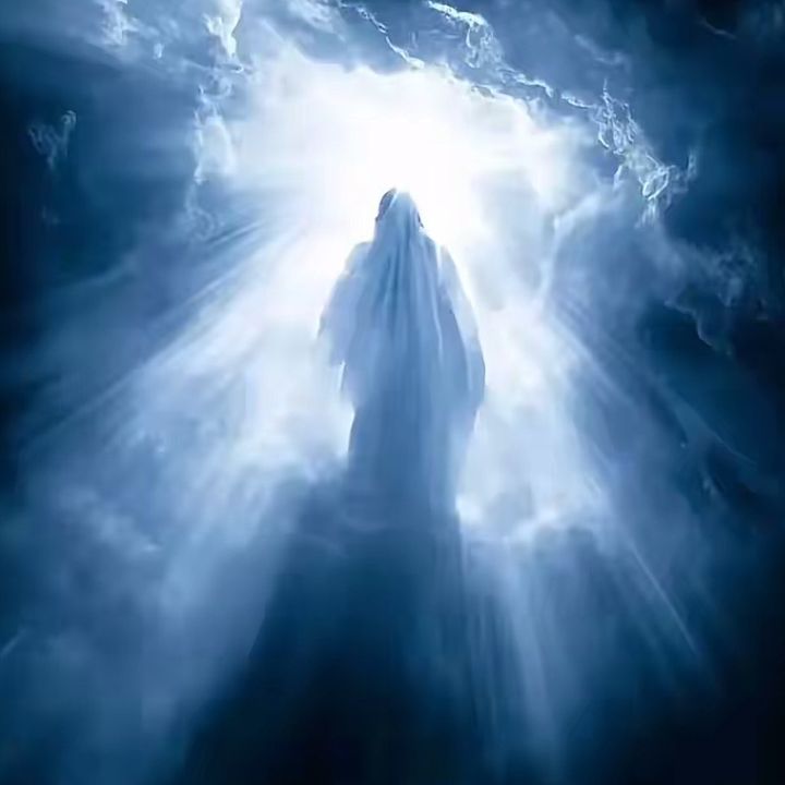 Creator