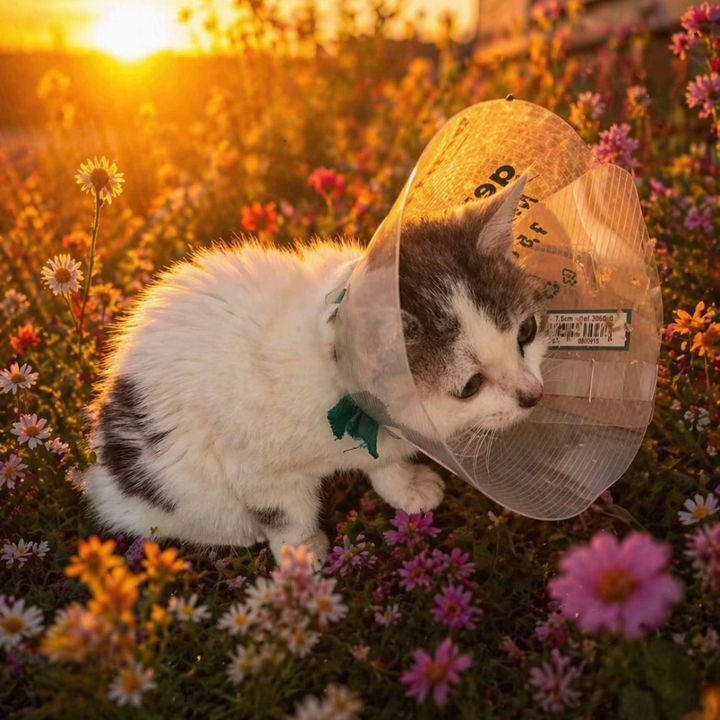 Hope courage