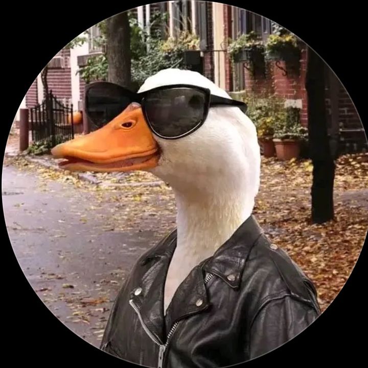 qj02oq0