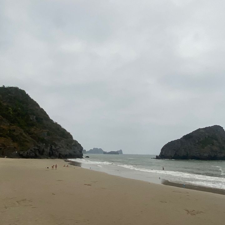 Hùng Bầu