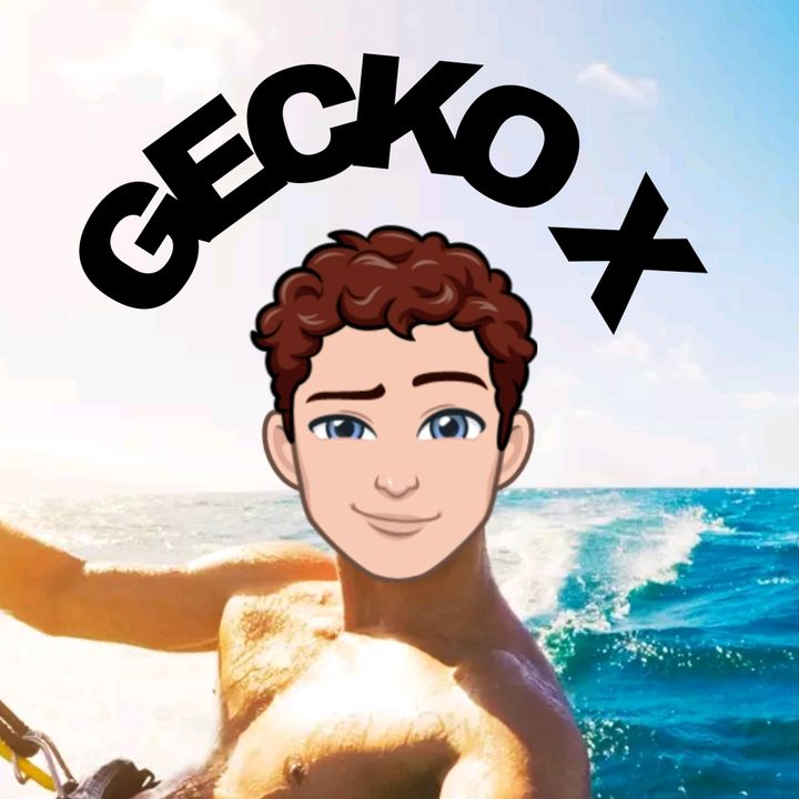 Gecko X