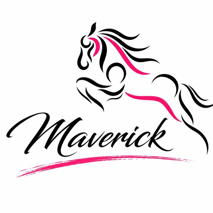 株式会社 Maverick