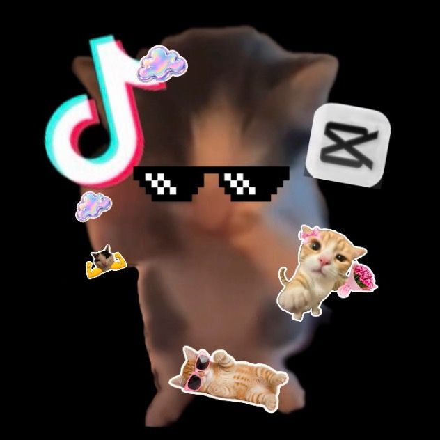 𝓜𝓮𝓸𝔀_ 𝓜𝔂𝓽𝓱🐈🇯🇵