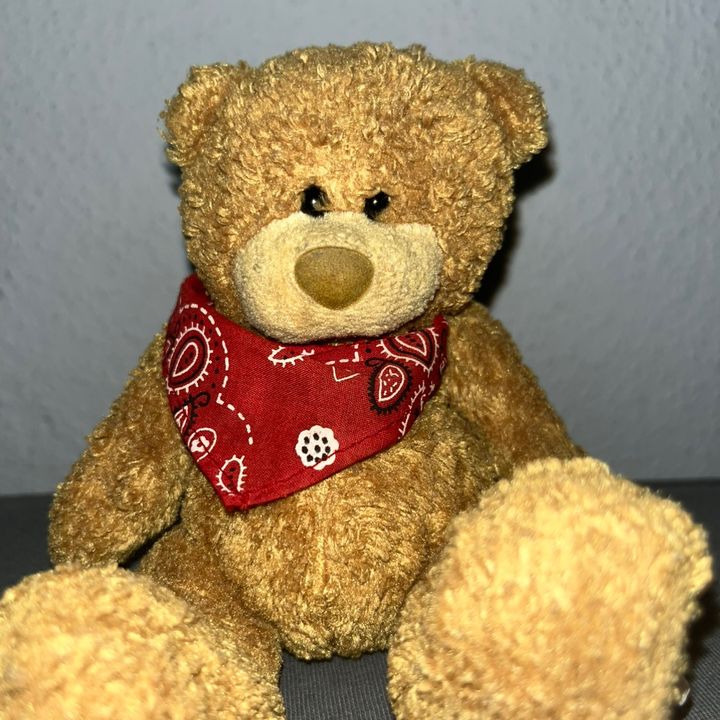 bernibear_fy
