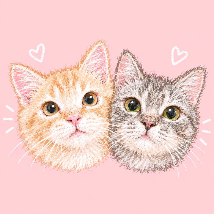 Topsy 🐈‍⬛️ & Logan 🐈