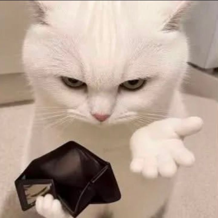 ﮼ع