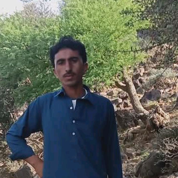 Saif Rodo