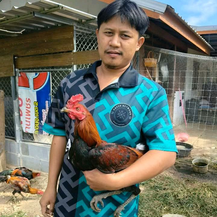 โกเส้ม กาฬสินธ์ุ