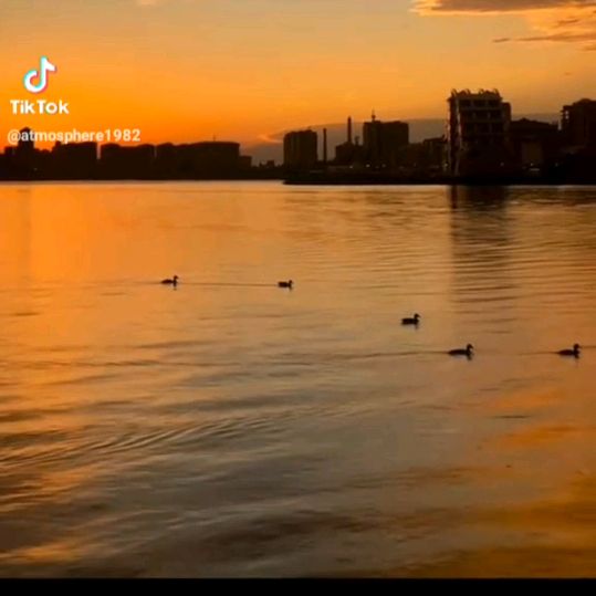 Aysha  Факты.