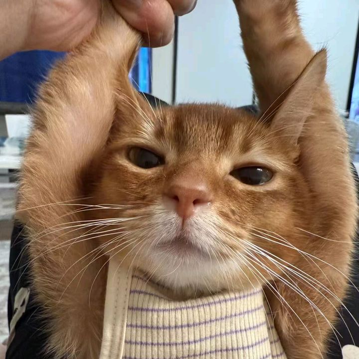 oow9vv7