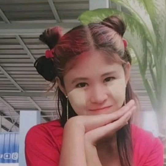 Cho Cho