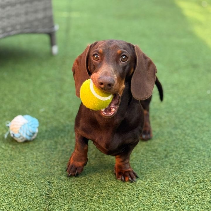 Hugo🧸