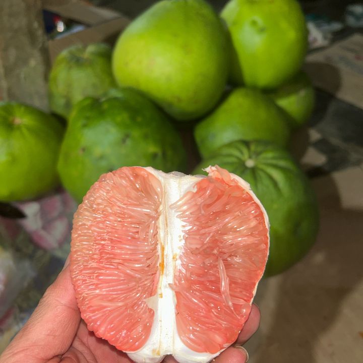 Bakol jerok