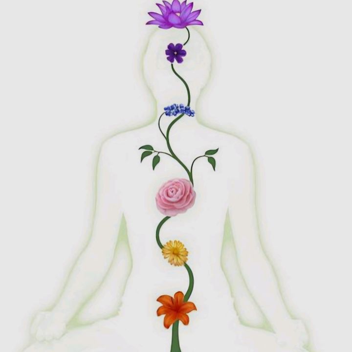 🪷Andrea.ahealthylife🥉