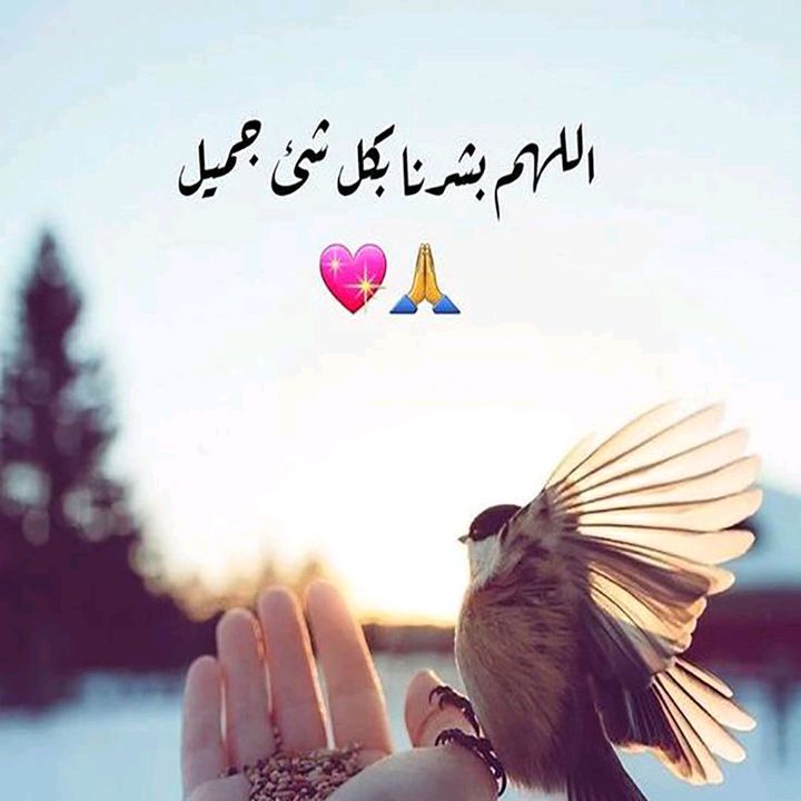 Tassnim👑تسنيم