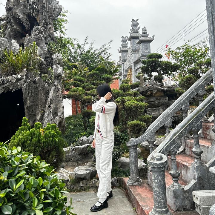 mai nguyễn