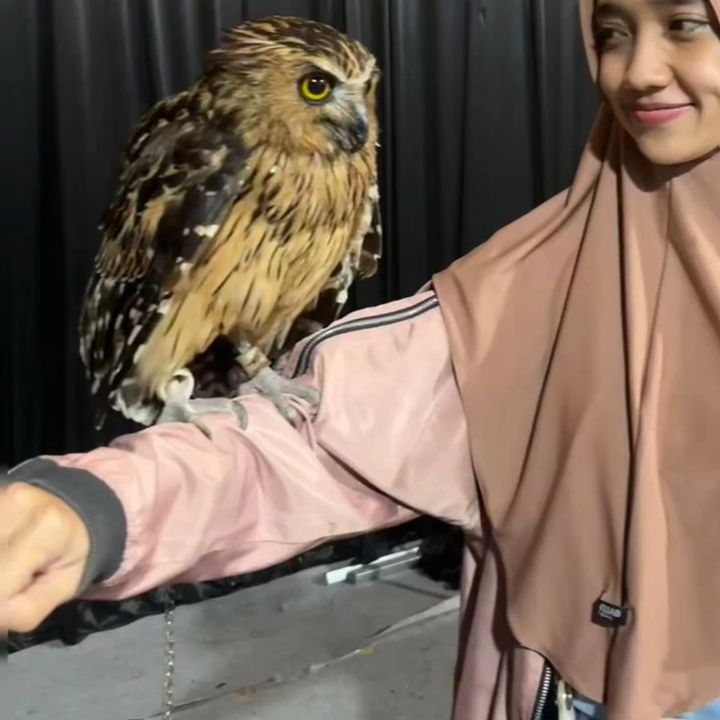 Toko Serba Ada