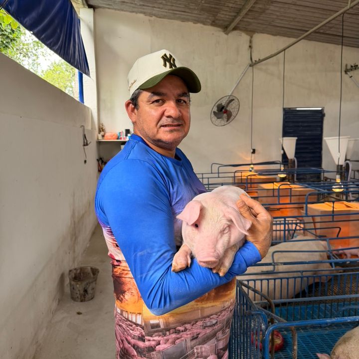 Granja Ideal