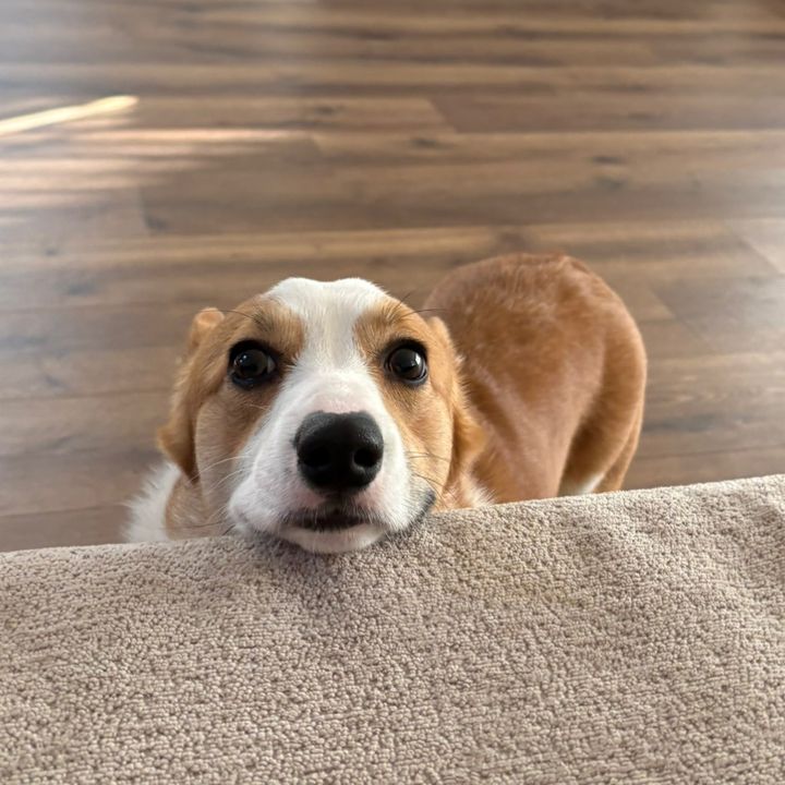 Milo & Slinky
