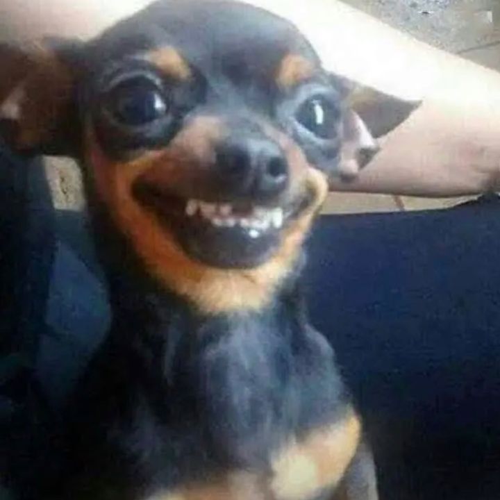 ;