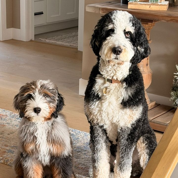Bonni and Bruce