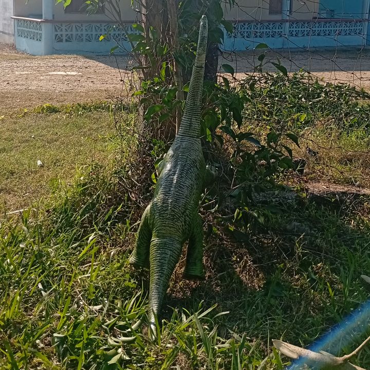 mi pequeño dinosaurio