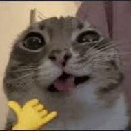 owmauuu
