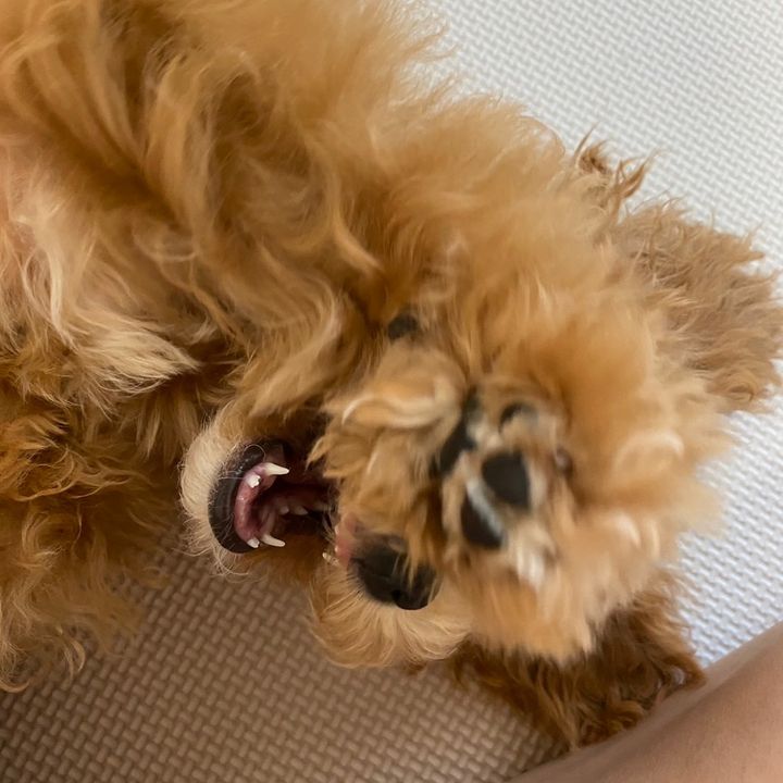 ラキ