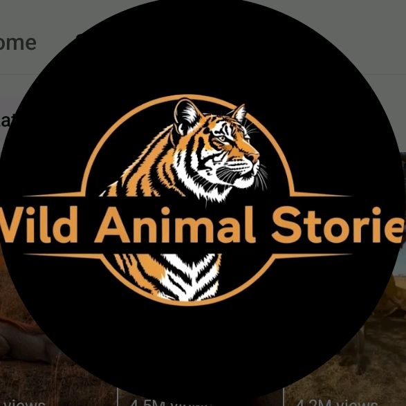 The World 🌎🌍 Animal