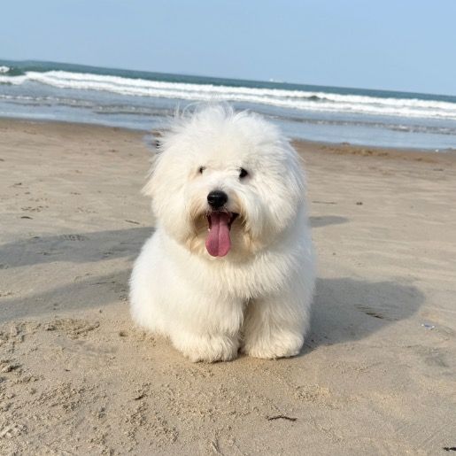 user61924823371