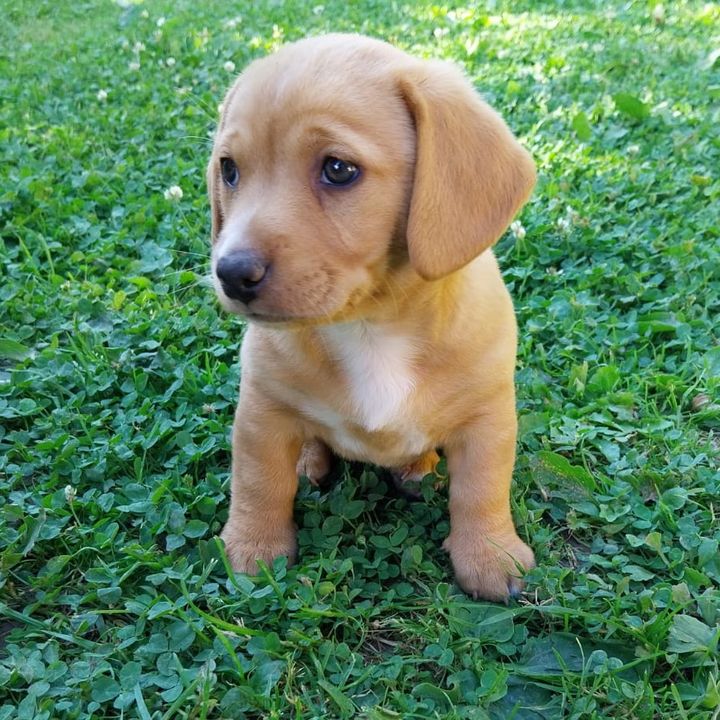 BoomersAbenteuer🐾